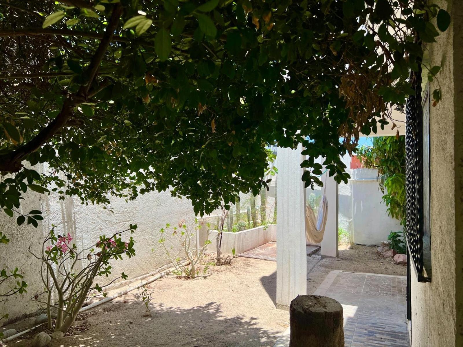 La Casa Del Pescador Lejlighed La Paz Eksteriør billede