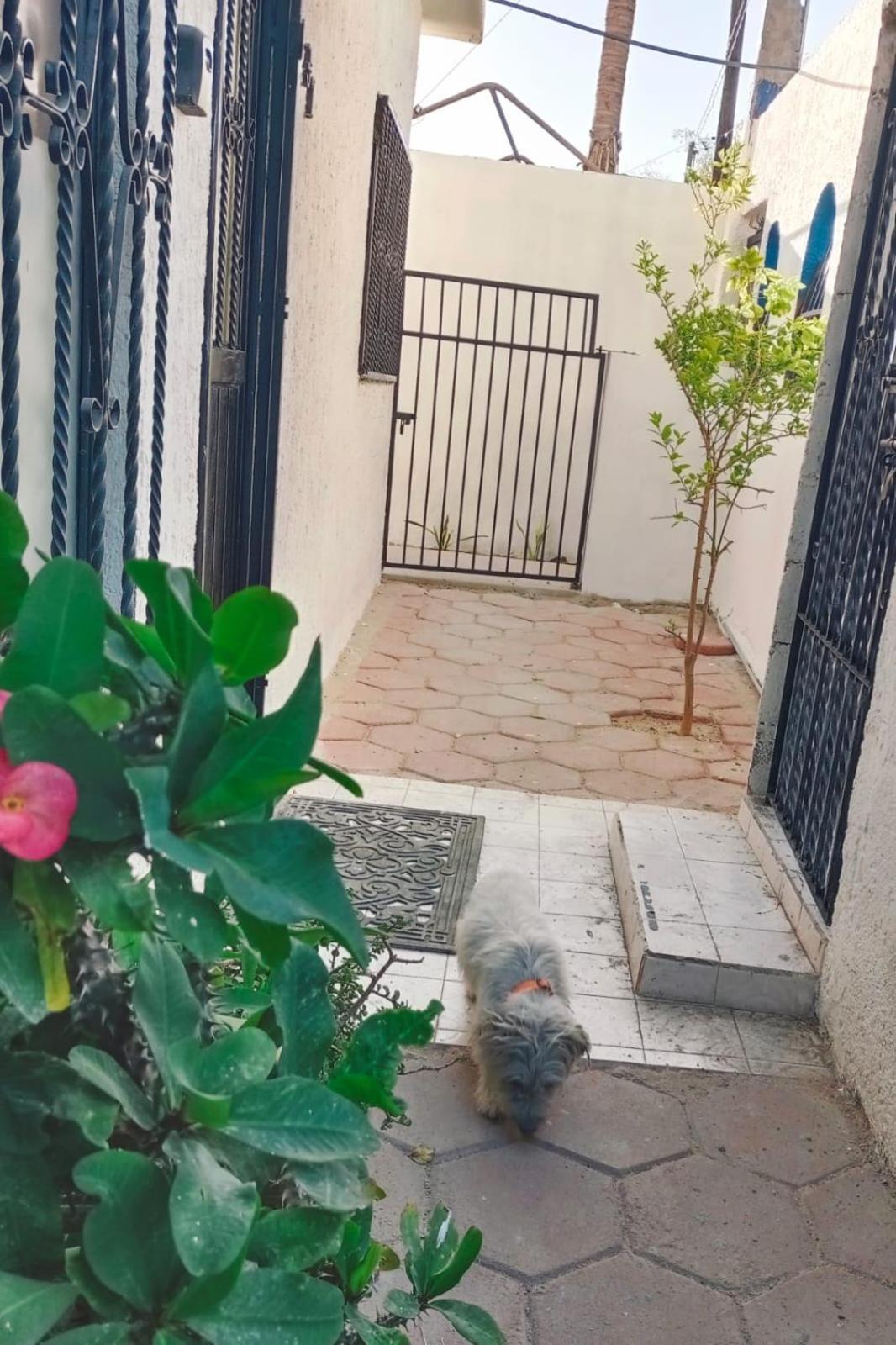 La Casa Del Pescador Lejlighed La Paz Eksteriør billede